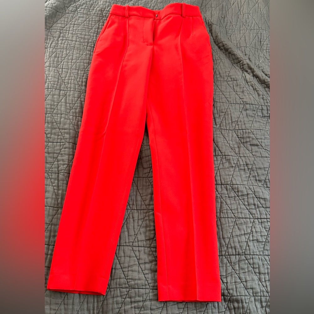 New but without Tags Zara high wasted ankle pants